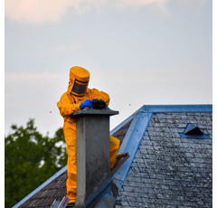 Combinaison de Protection Anti-Piqûre - Guêpes, Frelons Asiatiques | SECURAMA