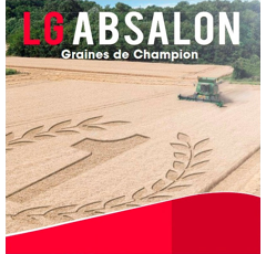 Blé tendre d'hiver - LG Absalon - BIO