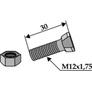 Scharschraube M12 x 1,75 x 30 mit Sechskantmutter  