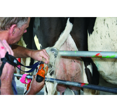 Tondeuse mk2 pour queue de vaches laitières - TAILWELL