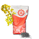 LG Scorpion | Hybrider Winterraps