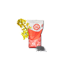 LG Scorpion | Hybrider Winterraps