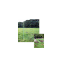 Euro-Netz Geflügel 112/2 grün 50m - stromlos