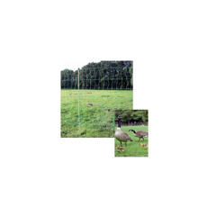 Euro-Netz Geflügel 112/1 grün 50m - stromlos