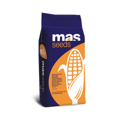 Saatmais - MAS 275L (S270) MAS SEEDS
