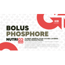 BOLUS PHOSPHORE - 12 unités - Début de lactation | NutriGO