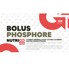 BOLUS PHOSPHORE - 12 unités - Début de lactation | NutriGO