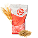 Sommergerste - LG Caruso