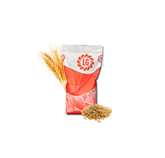 LG Campus - Wintergerste