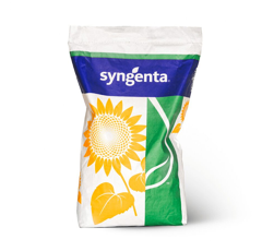 Sonnenblume - NK Delfi