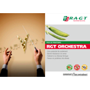 Sommerfuttererbse - Orchestra