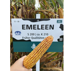 Saatmais - Emeleen (S200 K210) DSV