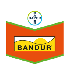 BANDUR | Herbizid
