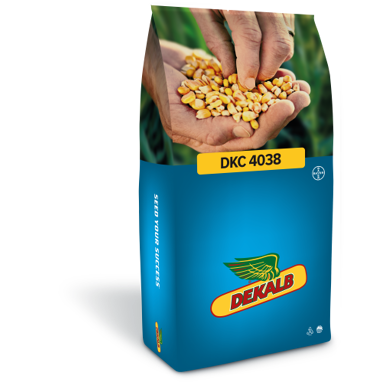 lupinen saatgut landwirtschaft Lupine Saatgut Blau: Bienenfreundliche Grndngung 500g  Imkado