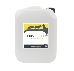 OXYSELEN - Vitamine E et Sélénium - Bidon de 5 L