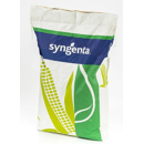 Saatmais - SY Remco (S250) SYNGENTA