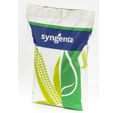 Saatmais - SY Vitamin (S240 K240) SYNGENTA