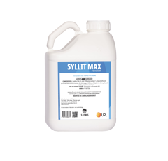 SYLLIT MAX