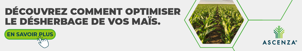 202604_ASCENZA_HOME_HERBI