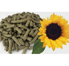 Tourteau de tournesol HighPro 36%