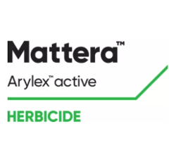 MATTERA