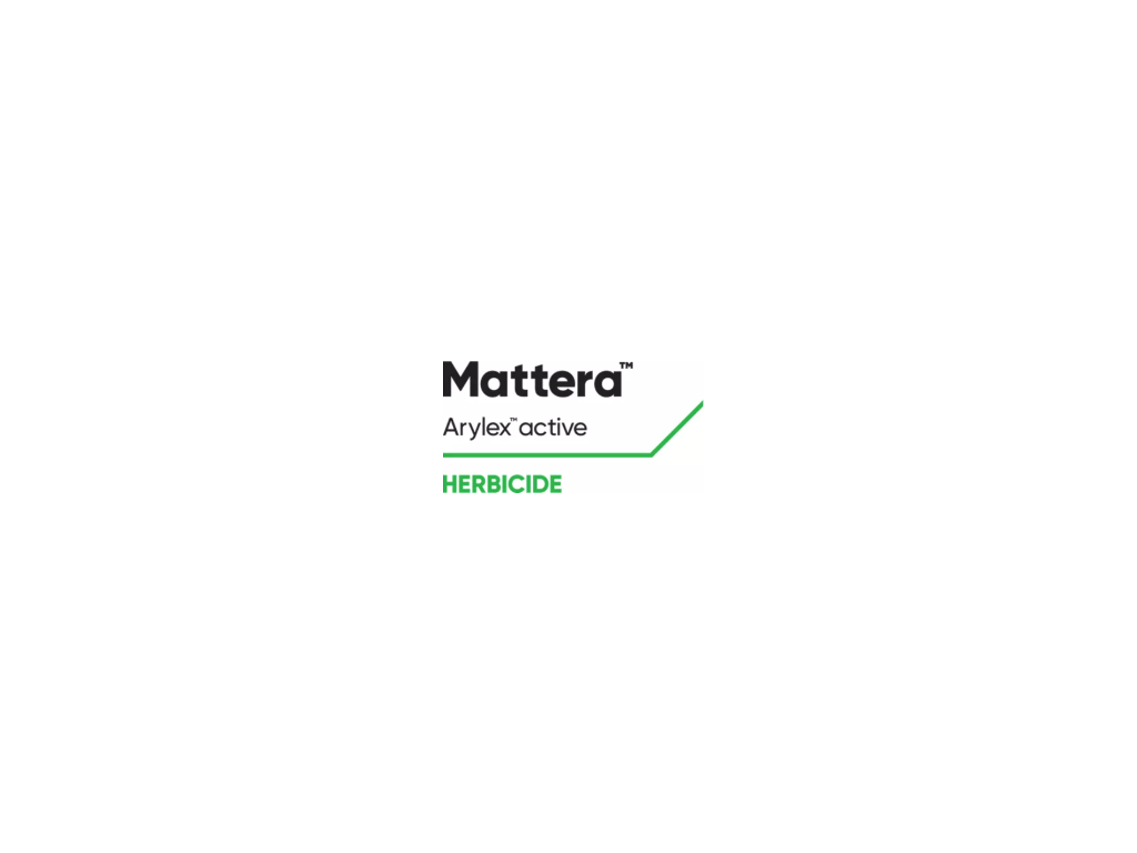 MATTERA