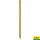 Piquet carré en acacia-robinier appointé - PATURA