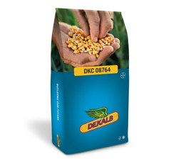 Saatmais - DKC08764 (S250) DEKALB