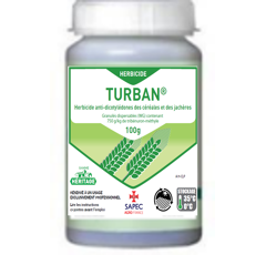Turban