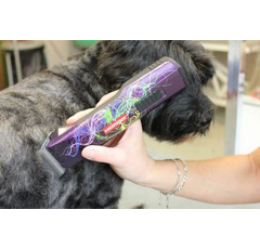 Tondeuse sans fil Saphir Style - HEINIGER