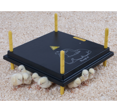 Panneau chauffant 42 W pour poussin - CHICK'A
