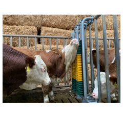 Brosse à ressort avec cadre de protection pour taureaux - PATURA