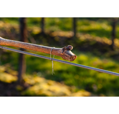 Beli Rebenbindegerät - normaler Griff