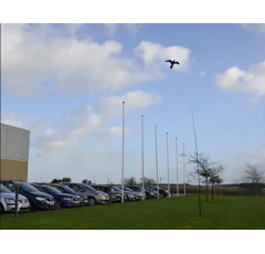 Cerf-volant Rapace - Effaroucheur