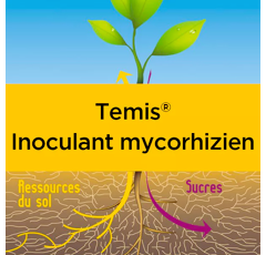 Temis mycorhizes - Traitement biostimulant de semence