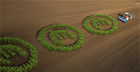 CORTEVA_BELEM_122025