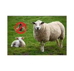 MG COLLAR - Collier répulsif insectes volants - Ovins - Sac de 125 unités