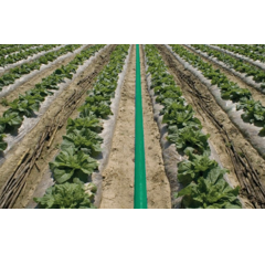 Tuyaux plat PVC Vert - 25 m - Spécial Irrigation