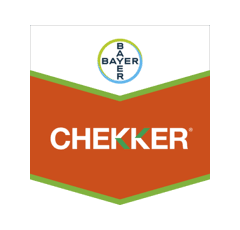 CHEKKER