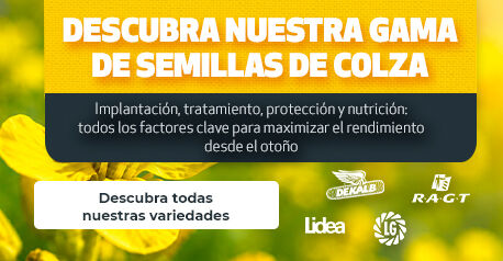 AGRYCO_SEEDS_COLZA_280726