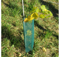 Rebschutznetz Klimawit Light 220 - 50 cm / 60 cm - grün