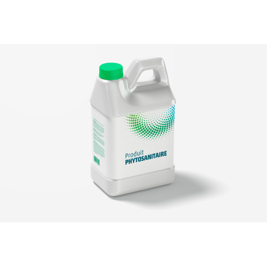 Bricoferr Pulvérisateur à Pression 5L