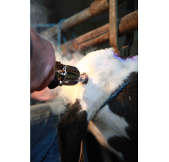 Ecorneur à gaz droit 410 W -  NETHORN