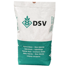 Saatmais - Novialis DS 1901 C (S290) DSV
