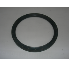 Wellendichtring 170x200x15 SL 17020015SL