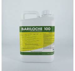 BARILOCHE 100