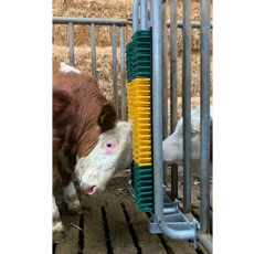 Brosse à ressort avec cadre de protection pour taureaux - PATURA