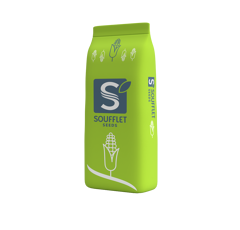 Maíz bestseller ensilado - Icare