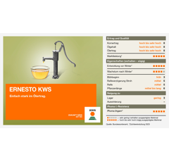 KWS Ernesto | Hybrider Winterraps