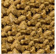 Drêche de maïs non OGM - Gand